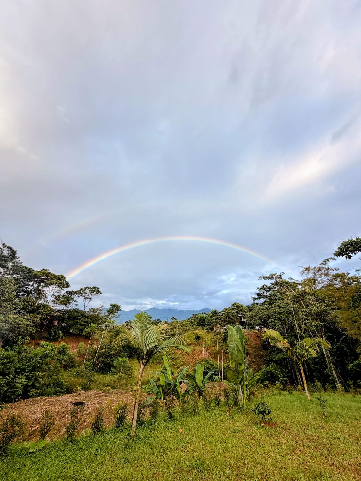 A rainbow over the jungle hills