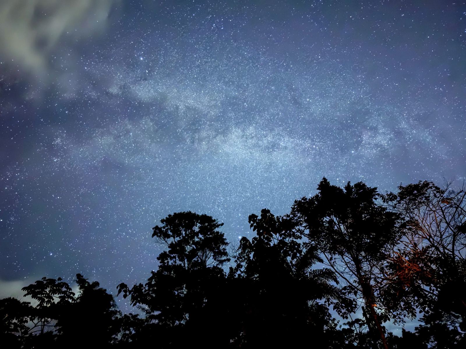 The Milky Way over the jungle