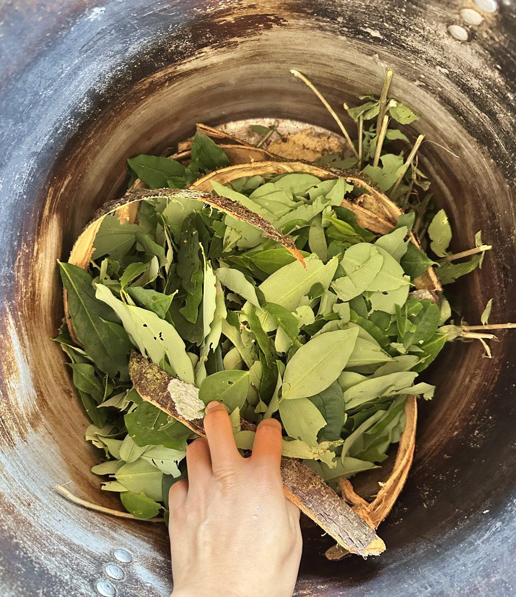 A basket of fresh leaves for the medicine